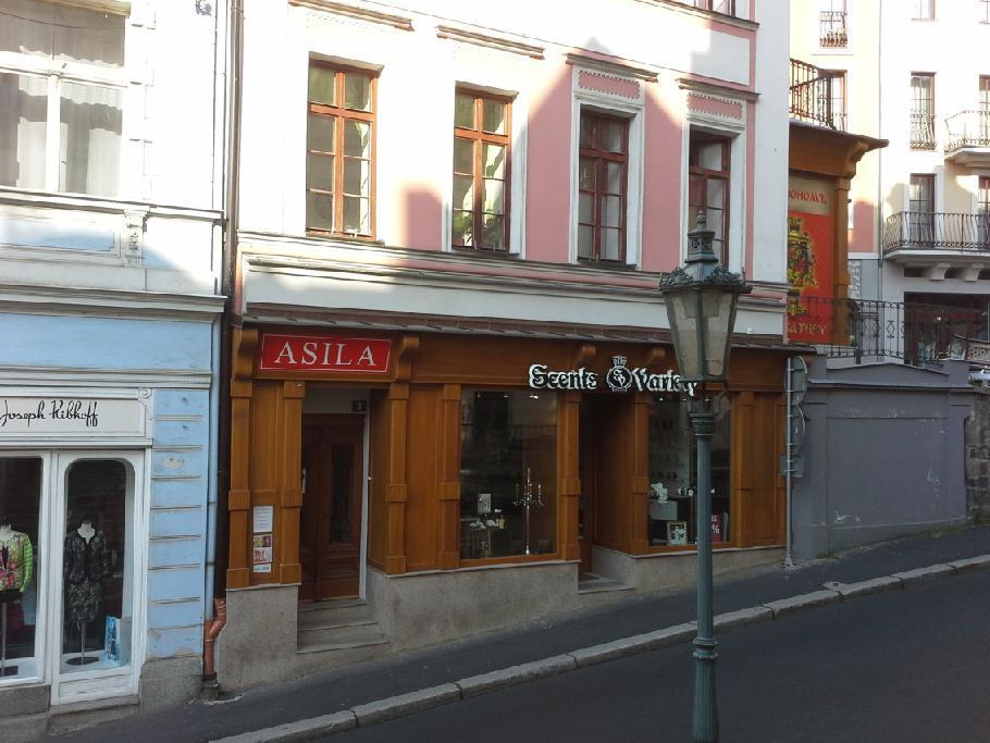 Hotel Asila à Karlovy Vary Extérieur photo